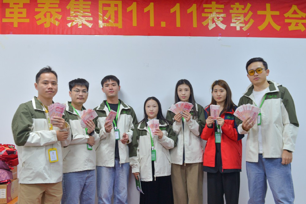 双十一表彰大会
