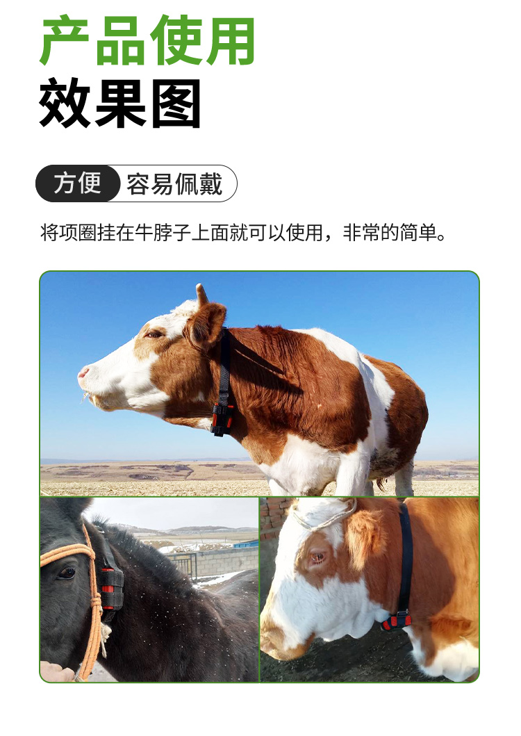S10-牛_14.jpg