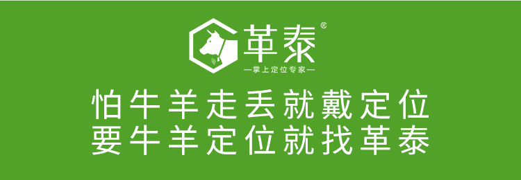 神州15号_02.jpg