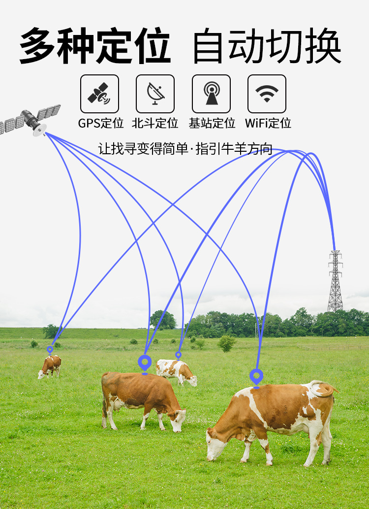 未标题-1_05.jpg