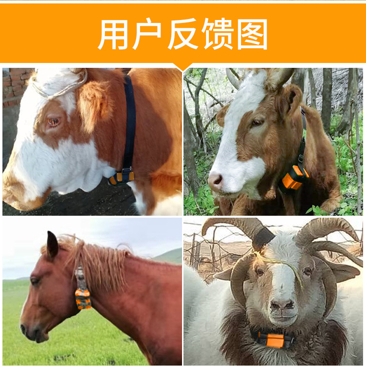 未标题-1_11.jpg