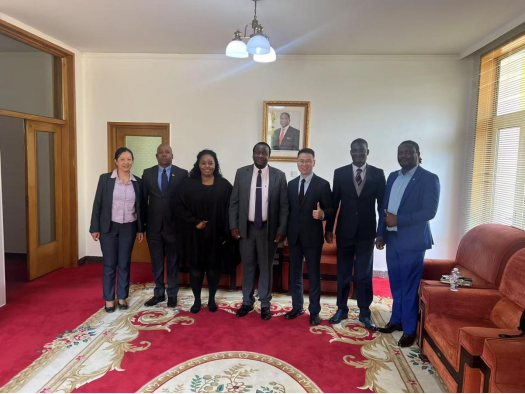 津巴布韦大使馆报道---Zimbabwe Embassy Report