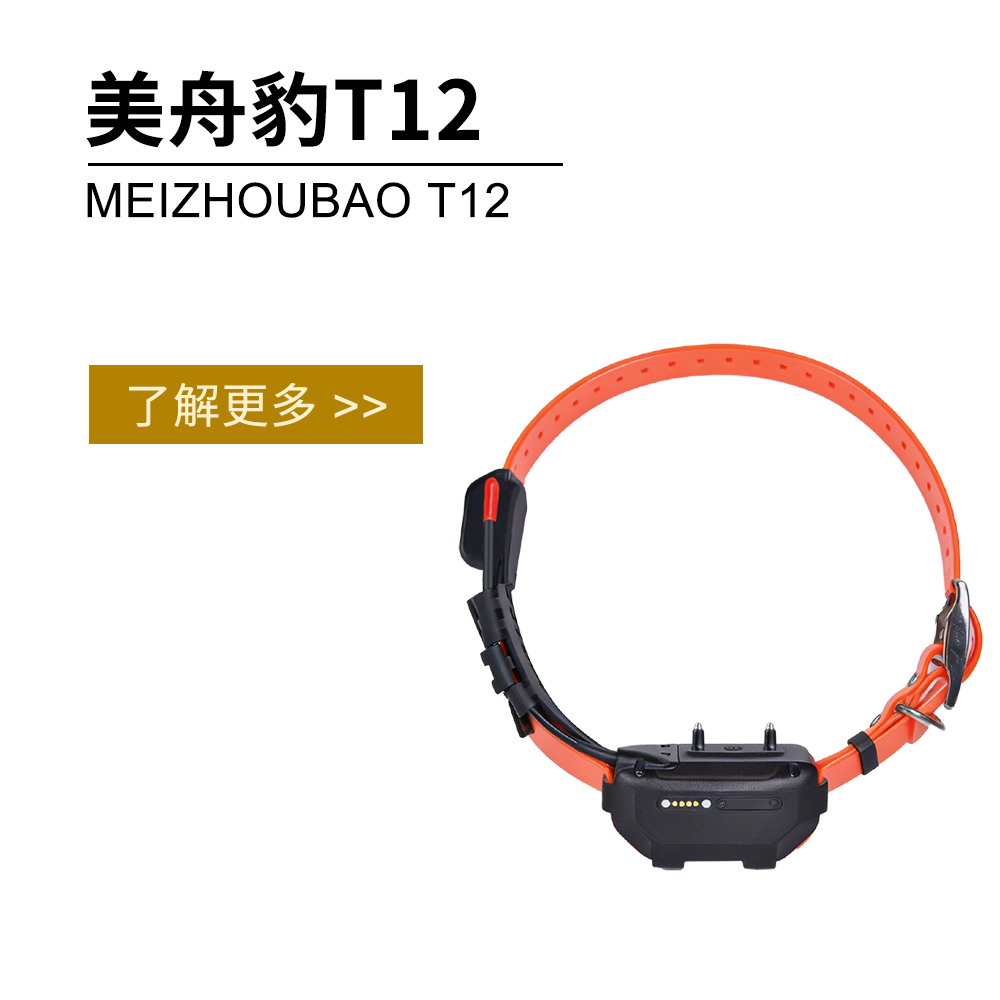 美舟豹新款T12电击训狗定位器，北斗GPS卫星猎犬追踪定位器（无二次收费）